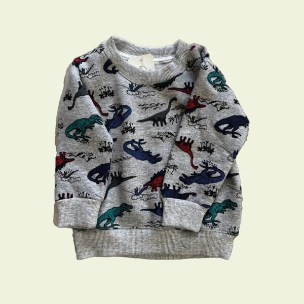 Buzo de bebé gris con dinosaurios de colores – divertido y abrigado